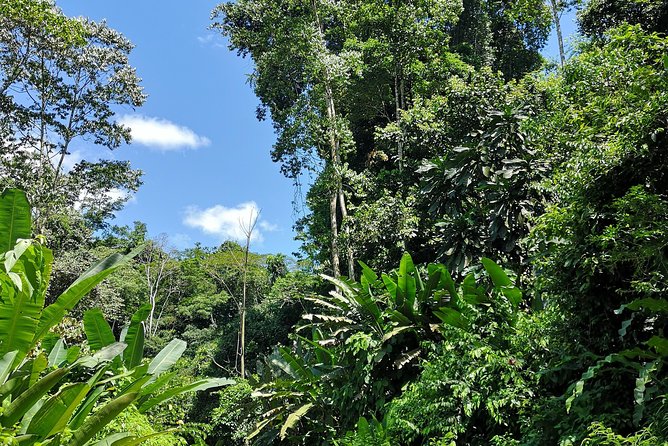 Exclusive Trekking Tour - What To Expect