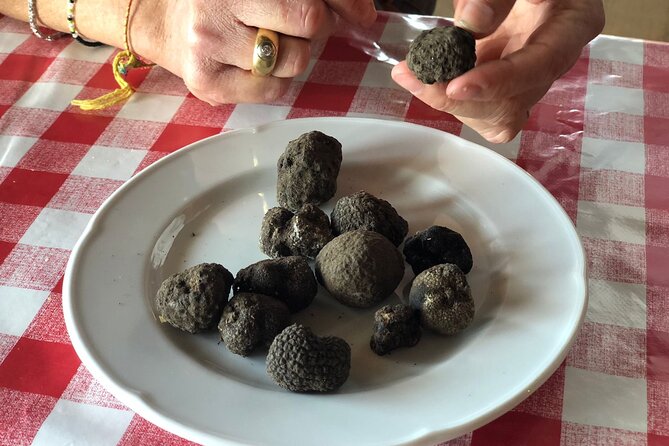 Exclusive Truffle Hunting With Lunch & Wine Tasting From Florence - Cancellation Policy