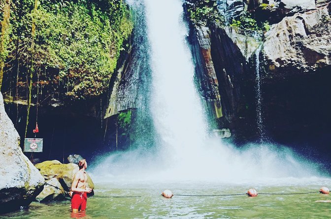 Exclusive Ubud Day Tour - Tour Highlights