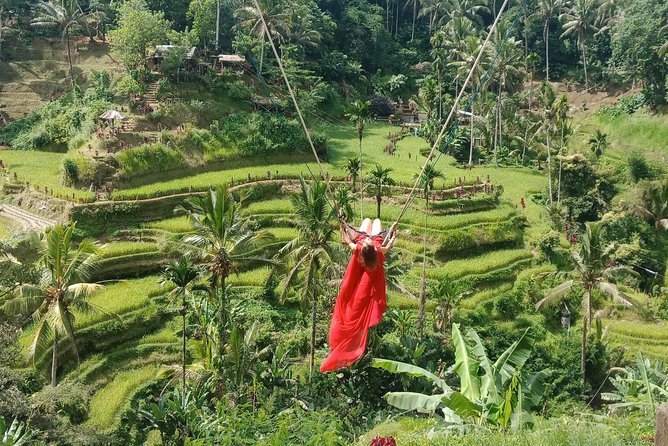 Exclusive Ubud Day Tour - Itinerary