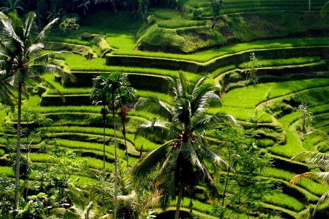 Exclusive Ubud Experience: Nature, Culture & Adventure in One Day - Good To Know