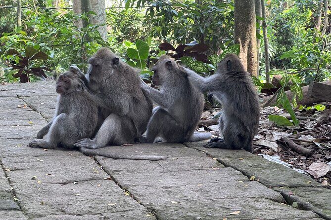 Exclusive Ubud Experience: Nature, Culture & Adventure in One Day - FAQs