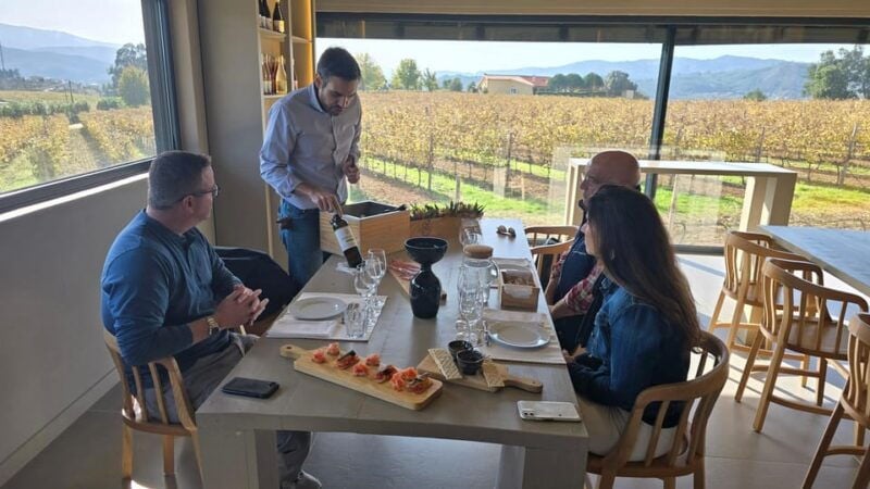 Exclusive Vinho Verde (Green Wine) experience & lunch - Good To Know