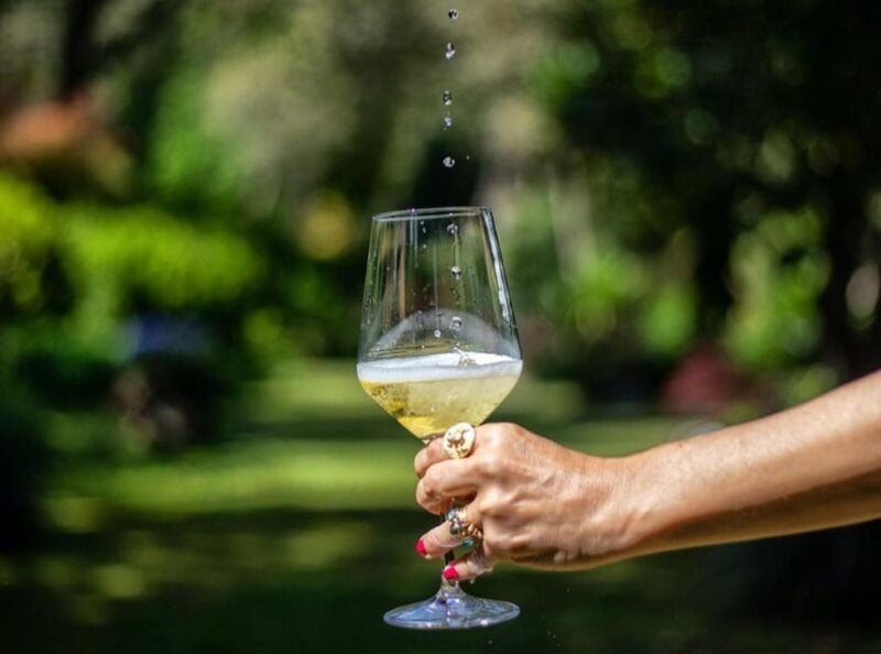 Exclusive Vinho Verde (Green Wine) experience & lunch - Price and Value Analysis