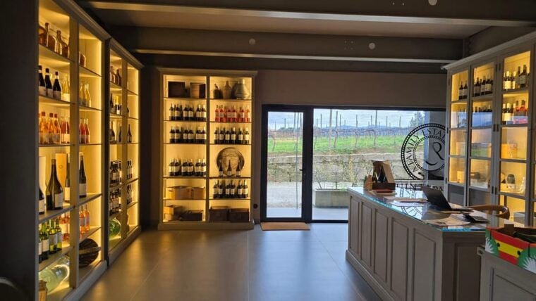 Exclusive Vinho Verde (Green Wine) experience & lunch - The Sum Up