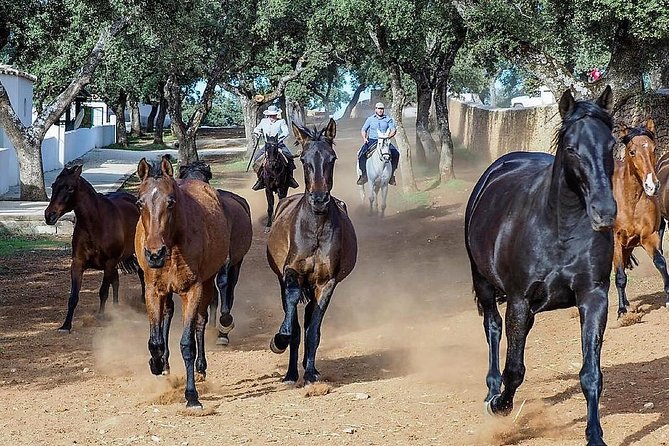 Exclusive Visit With the 5 Senses - Payment Flexibility