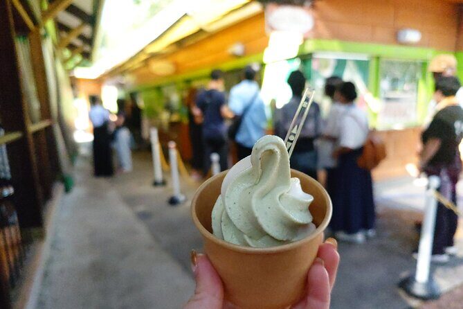 Exclusive Wasabi Harvesting, Soba Lunch and Matsumoto Castle Tour - Final Thoughts