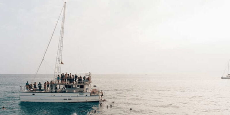 Exclusive: Whale and Dolphin Watching Tour with Transfers - FAQ