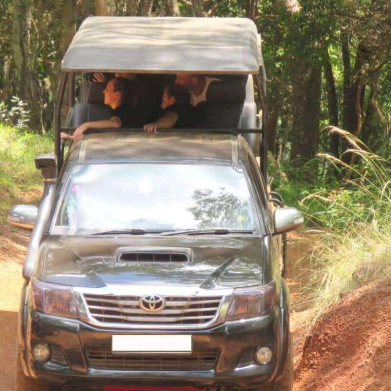 Exclusive : Wildlife Full Day Adventure in Wilpattu - Good To Know