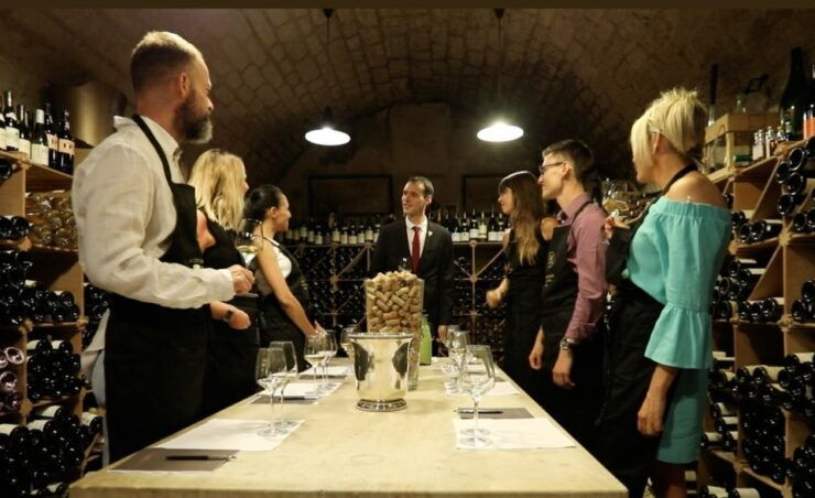 Exclusive Wine Day Trip Loire Valley From Paris - Activity Details