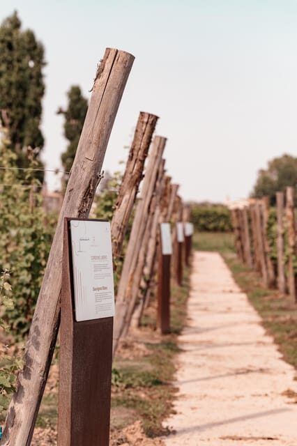 Exclusive Wine Experience: Venetian Best Vineyards - FAQ