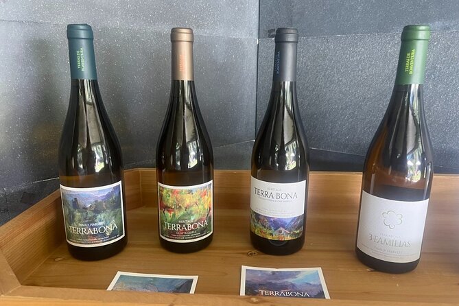 Exclusive Wine Tasting in the Wine Region of Boaventura - Activities Included