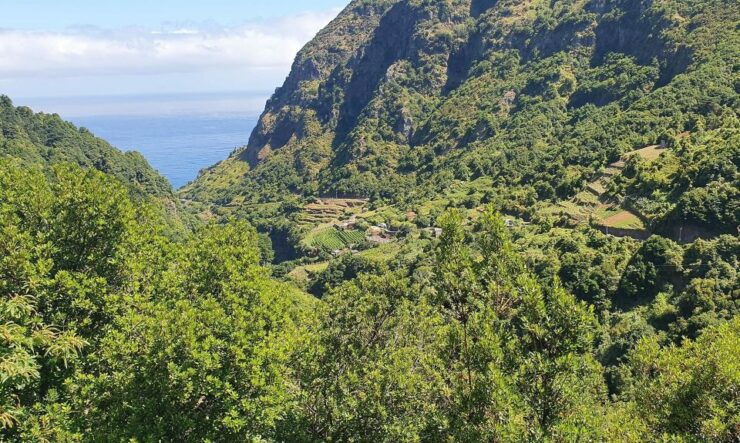 Exclusive Wine Tasting Tour in the Wine Region of Boaventura - Tour Duration and Booking Details