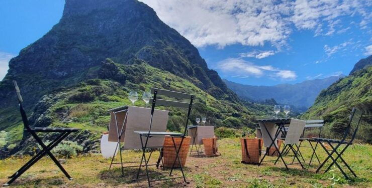 Exclusive Wine Tasting Tour in the Wine Region of Boaventura - Experience Highlights at the Vineyard