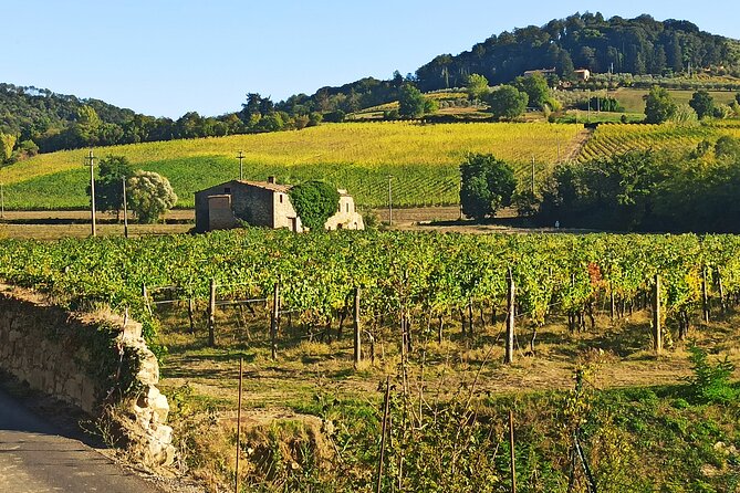 EXCLUSIVE Wine Tour in Chianti & San Gimignano (Lunch & Wine Tasting Included) - Enjoying a Delicious Lunch