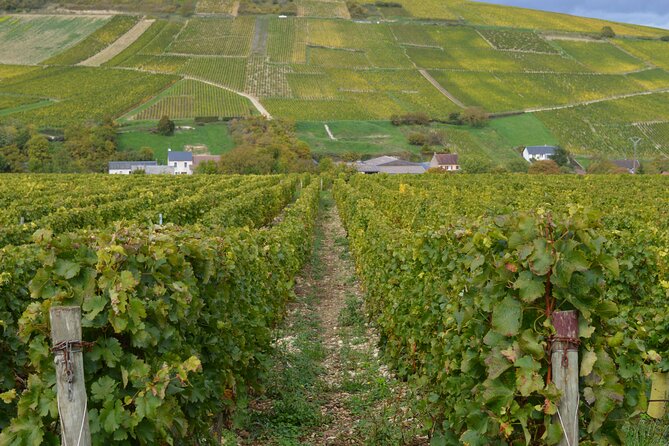 Exclusive Wine Tour in Sancerre & Pouilly Fumé From Paris - Traveler Photos