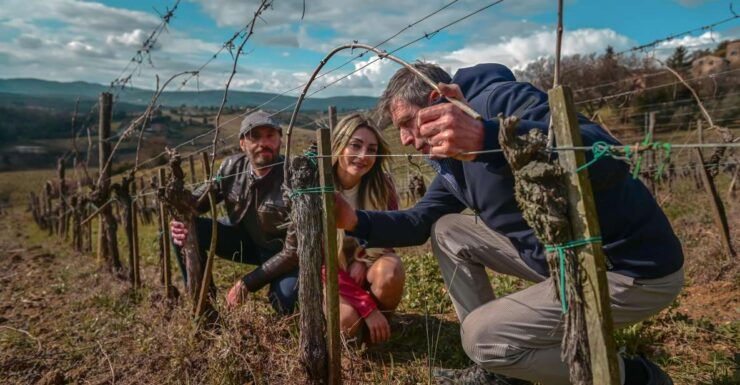 Exclusive Winery Tour and Wine Tasting in Siena - Experience Highlights