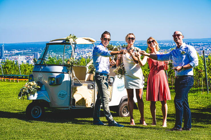 Exclusive Wineyard Picknick Overlooking Vienna - Pricing and Reservation