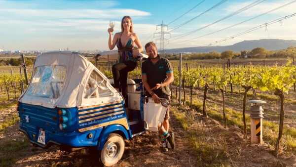 Exclusive Wineyard Picknick Overlooking Vienna - Gourmet Picnic Fare