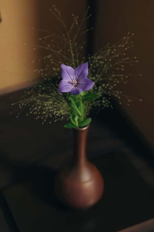 Exclusive × HiddenKyoto Gion Tea Ceremony Experience - Who Will Love This Experience?