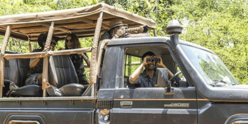 Exclusive : Yala National Park Afternoon Expedition - Practical Tips for Your Safari