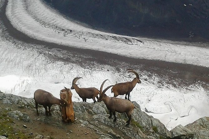 Exclusive Zermatt and Matterhorn: Small Group Tour From Bern - Cancellation Policy