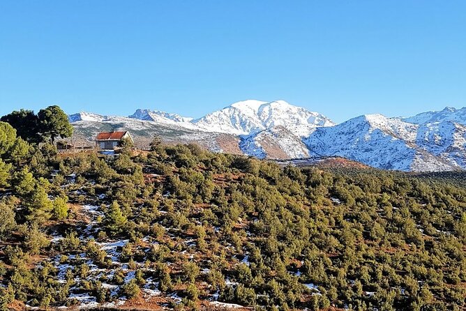 Excursion 3 Valleys of the Atlas Mountains From Marrakech - Operator Information