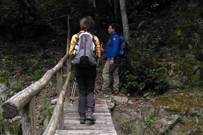 Excursion and Hiking in Calabria, Italy - Pricing and Booking Details