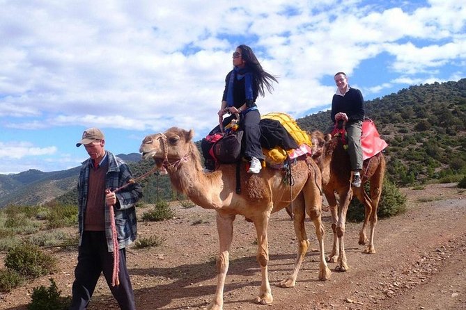 Excursion Atlas Mountains and Berber Villages Day Trip From Marrakech - Additional Information