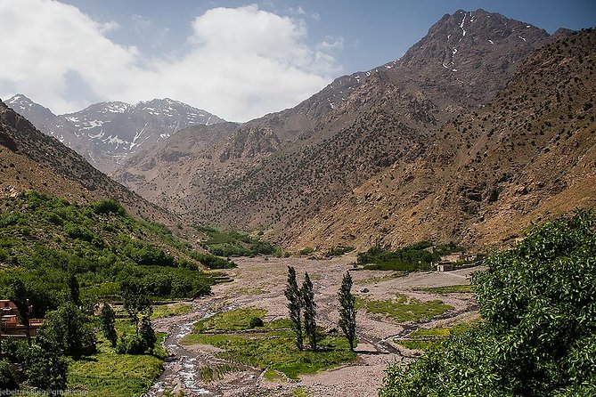 Excursion Atlas Mountains and Berber Villages Day Trip From Marrakech - Customer Reviews