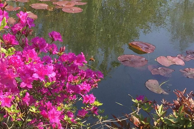 Excursion CHATEAU DE VERSAILLES and GIVERNY in Limousine From Paris - The Sum Up