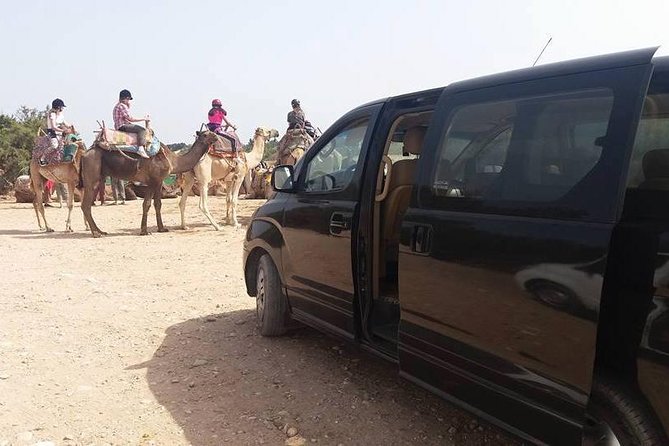 Excursion Essaouira From Marrakech - Good To Know