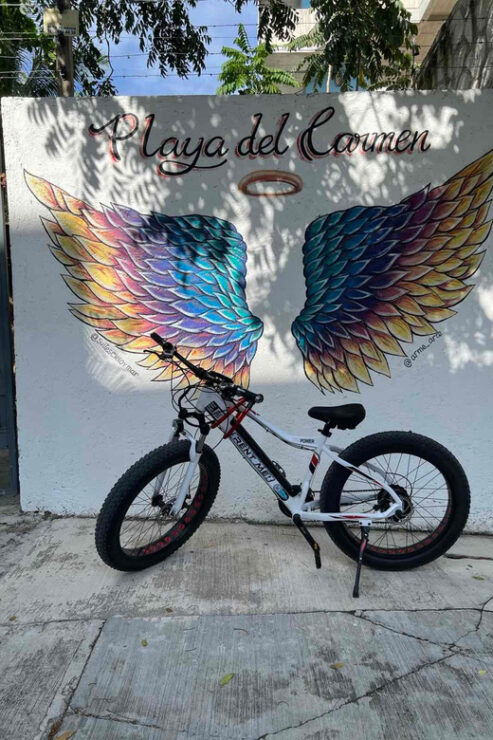 Excursion Explorer The City by Bike and Unusual Meal - Experience Highlights