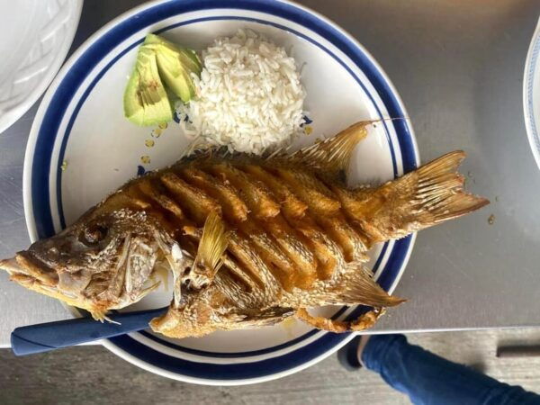 Excursion Explorer The City by Bike and Unusual Meal - Frequently Asked Questions