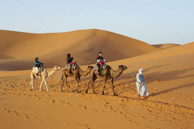 Excursion Fez-Merzouga-Fès 2 Days - Pricing and Reviews