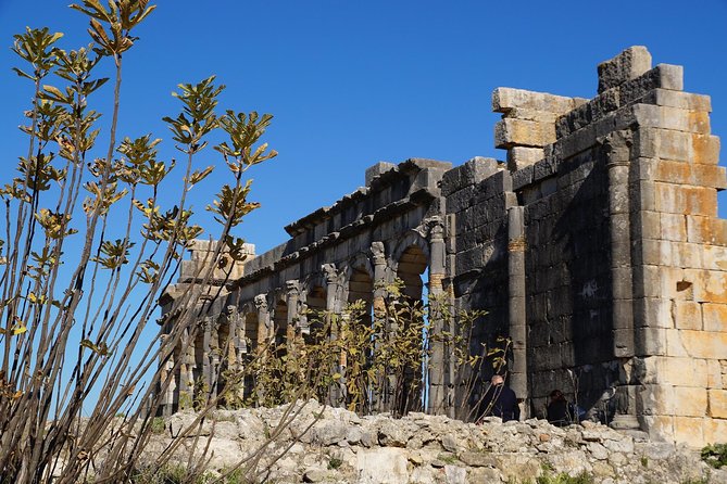 Excursion From Fes to Meknes Volubilis Moulay Idriss - Itinerary Overview