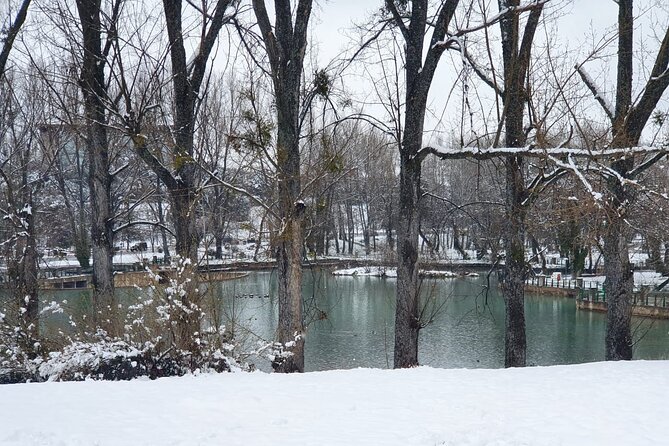 Excursion From Fez to Midle Atlas - Traveler Photos and Reviews