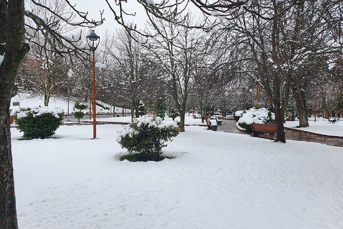 Excursion From Fez to Midle Atlas - Questions and Terms