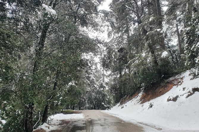 Excursion From Fez to Midle Atlas - Common Questions