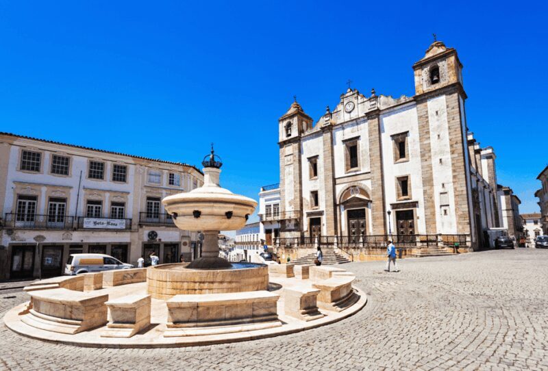 Excursion from Lisbon: ÉVORA + MONSARAZ and Alentejo Wines - Transport and Overall Experience