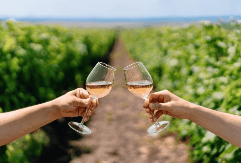 Excursion from Lisbon: ÉVORA + MONSARAZ and Alentejo Wines - Who is This Tour Best For?