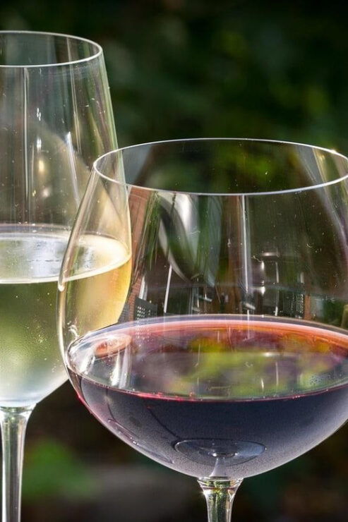 Excursion From PARIS to BEAUNE : the Vineyards of Burgundy - Key Points