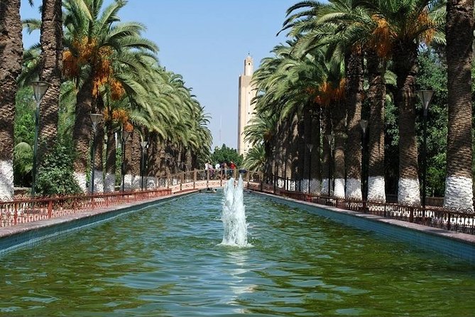 Excursion From the Port to Taroudant - Meal Inclusions