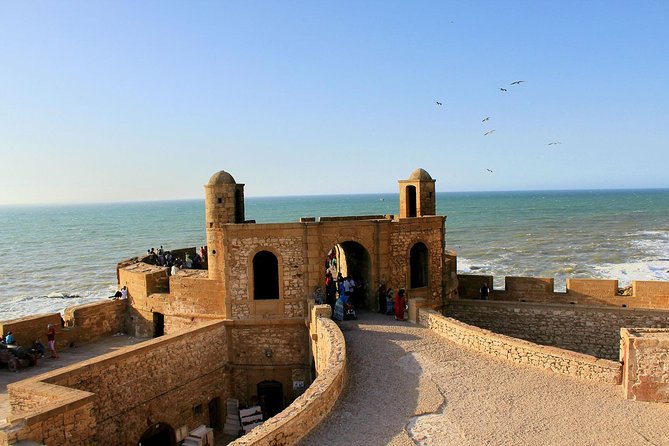 Excursion : Full Day Trip to Essaouira Mogador From Marrakech - Essential Information