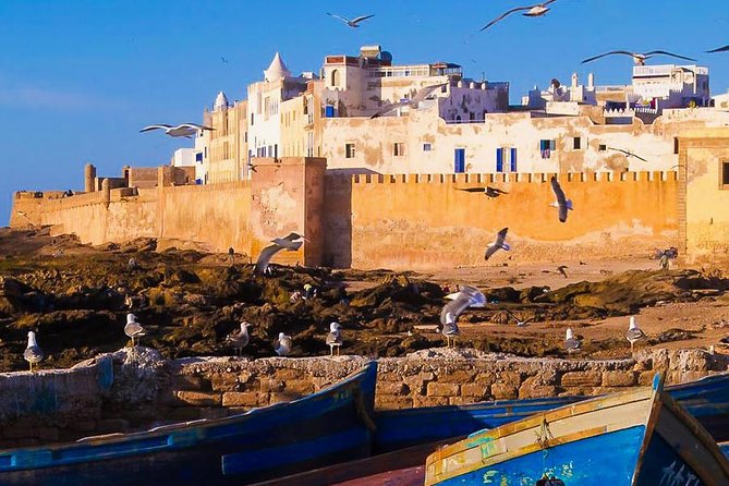 Excursion : Full Day Trip to Essaouira Mogador From Marrakech - Photo Opportunities