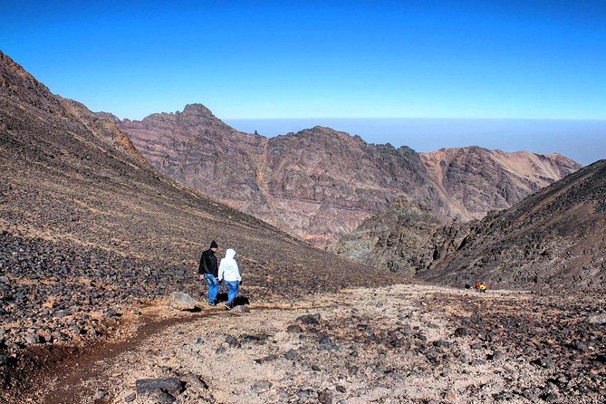 Excursion: Full Day Trip to Imlil Valley and Toubkal From Marrakech - Operator Information