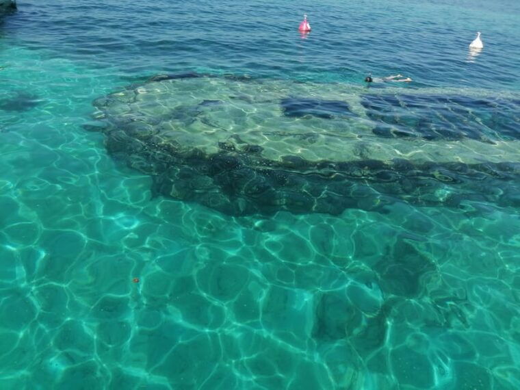 Excursion*** (Grand-Cul-De-Sac-Marin Feet in the Water) - Activities to Enjoy During the Excursion