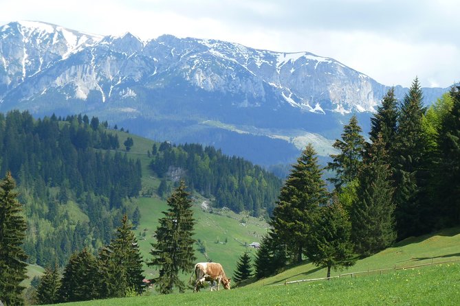 Excursion in Moeciu De Sus (Recommended for Families) With Native Spanish Guide. - Location and Meeting Details