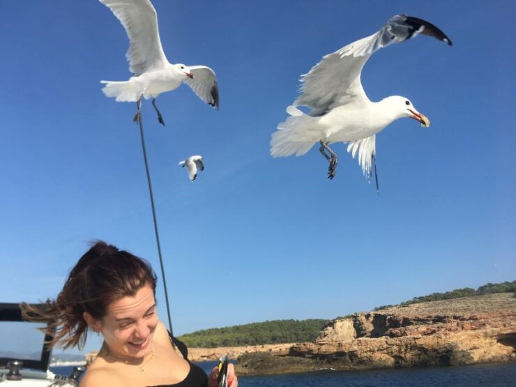 EXCURSION IN PRIVATE BOAT TO ES VEDRA & BEST CAVES OF IBIZA - Good To Know