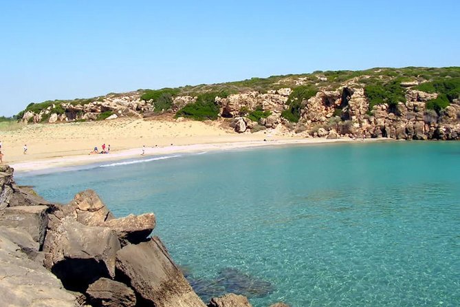 Excursion - in the Reserve and Its White Beaches - Transportation Details